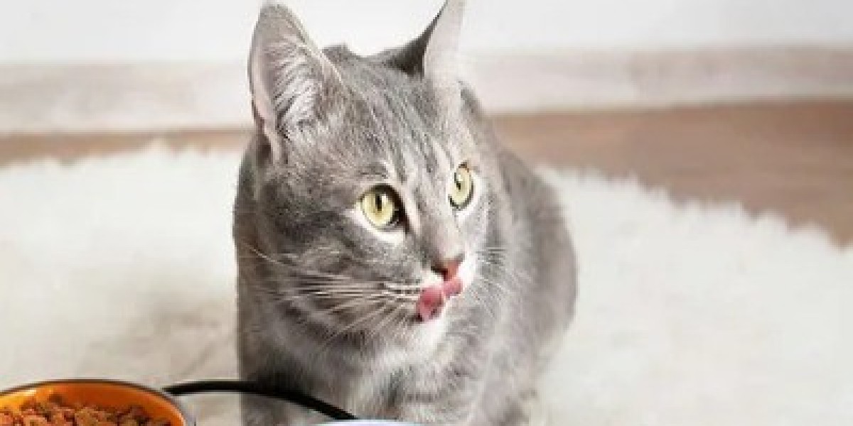 Cat Food | Raza Pets Clinic