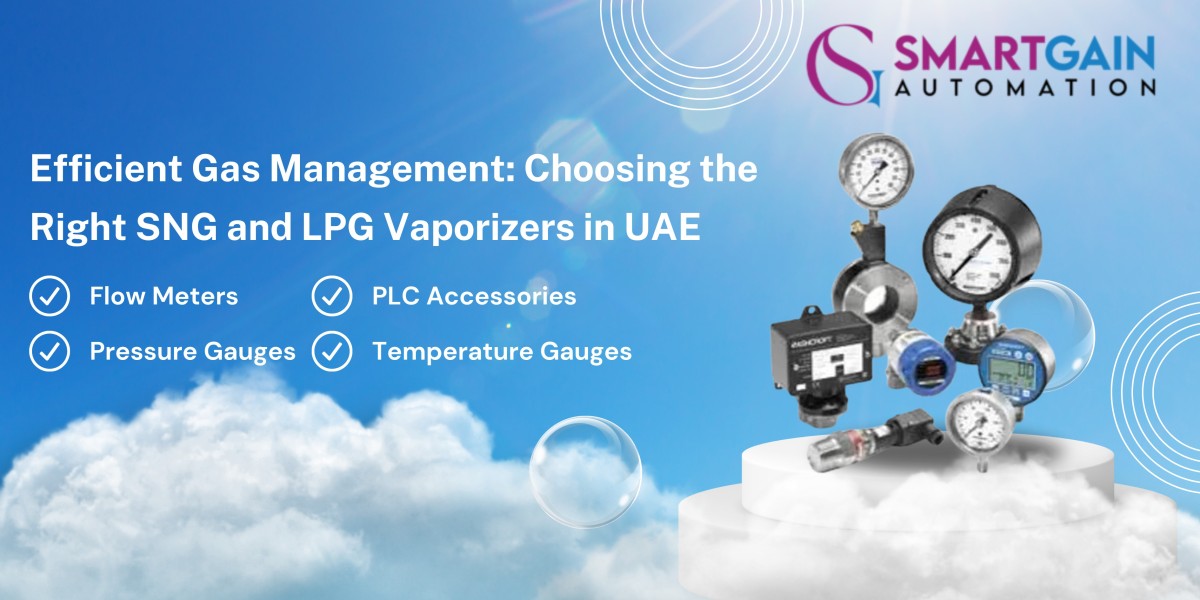 Efficient Gas Management: Choosing the Right SNG and LPG Vaporizers in UAE