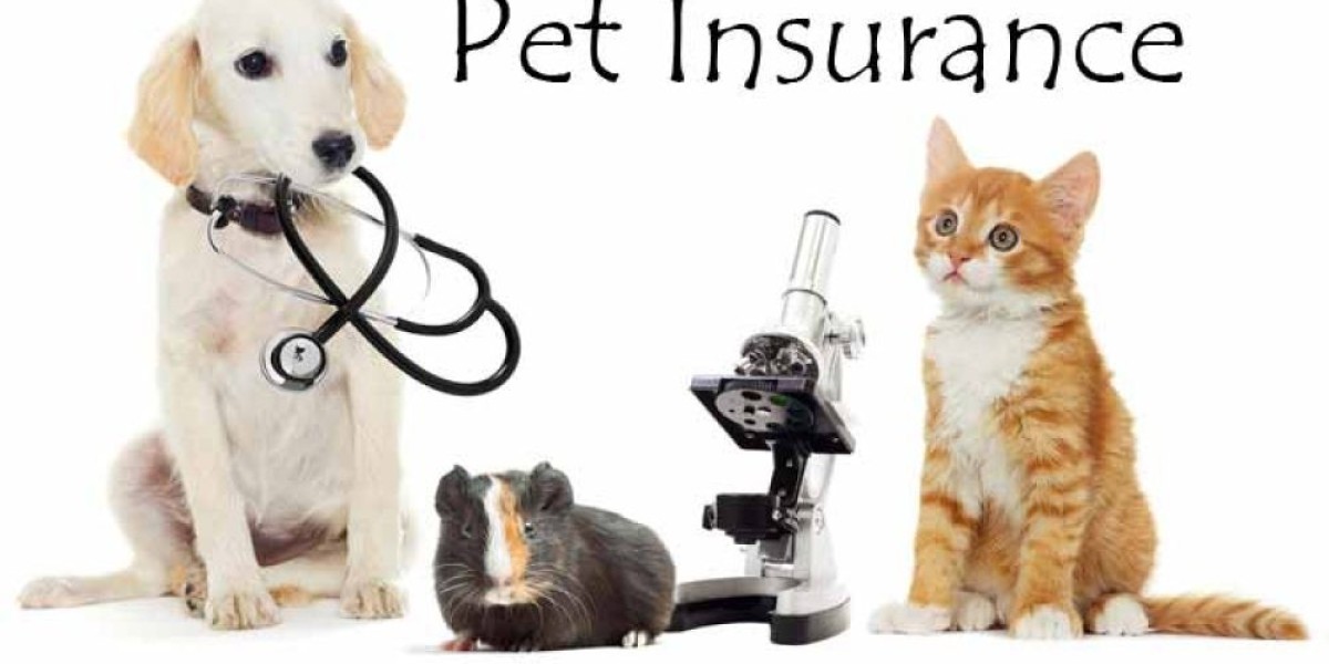 What Are the Fastest-Growing Segments in the Pet Insurance Market?