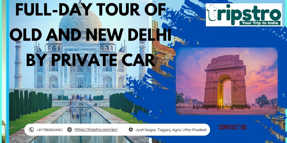 Delhi Full-Day Old & New City Tour by Car