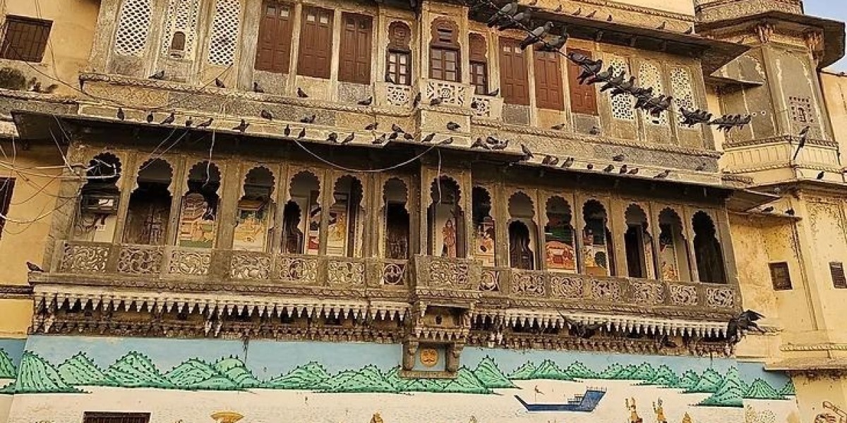 Udaipur on the Move: How Local Taxi Networks Are Shaping Inclusive Transportation