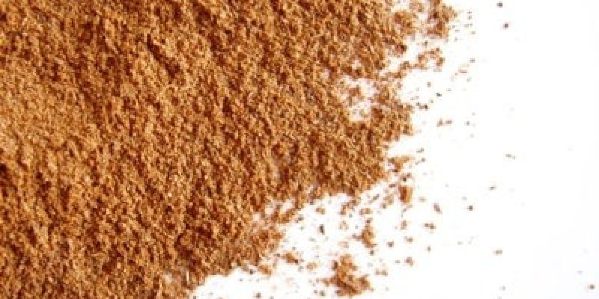 Yeast Nucleotides Market Evaluation Exploring Market Possibilities Across Emerging Technology Adoption Trends Worldwide