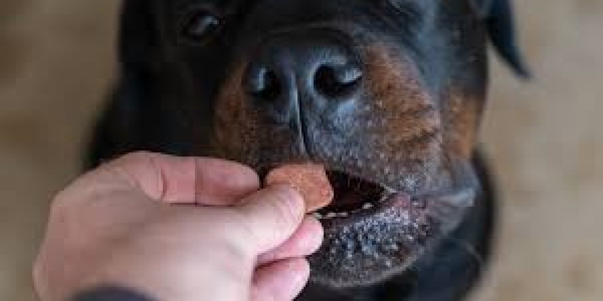 Animal Parasiticides Market Strengthened By Rising Government Support For Animal Healthcare Initiatives
