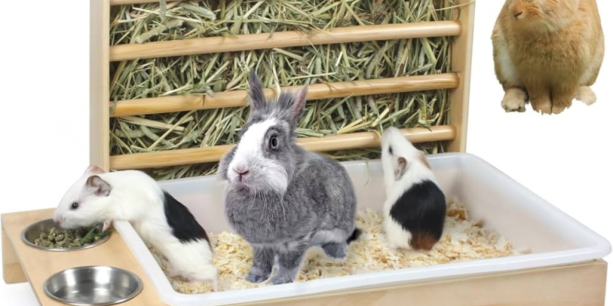 Global Rabbit Feeder Box Market Insights: Smart Feeding Systems and Sustainable Designs
