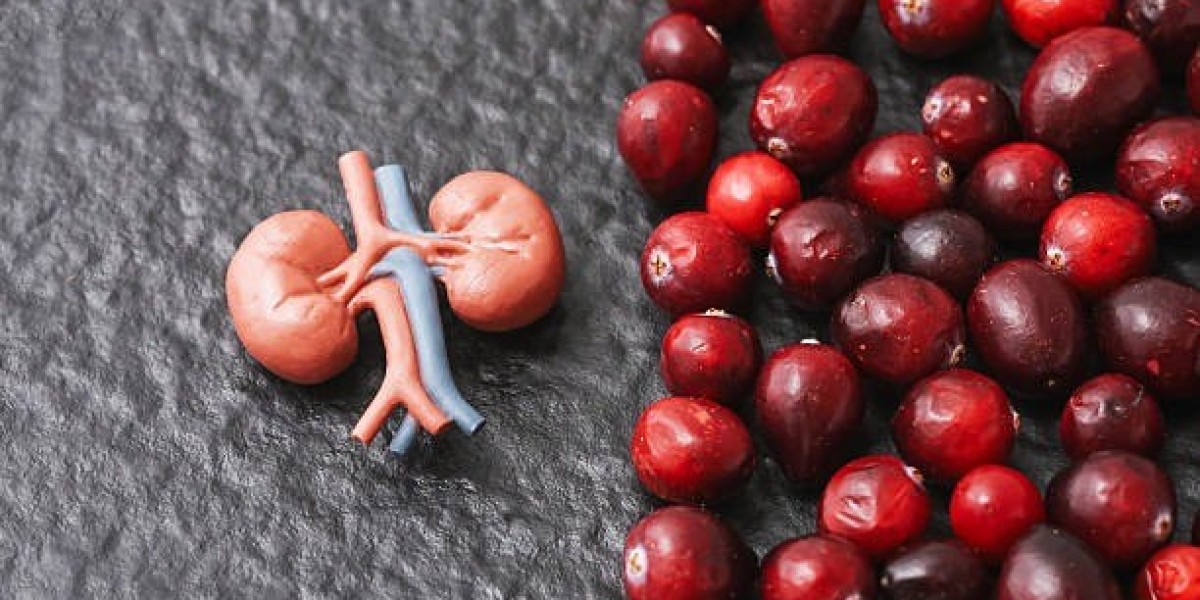 Achieving Cleansing and Balance with Liver Support Supplements