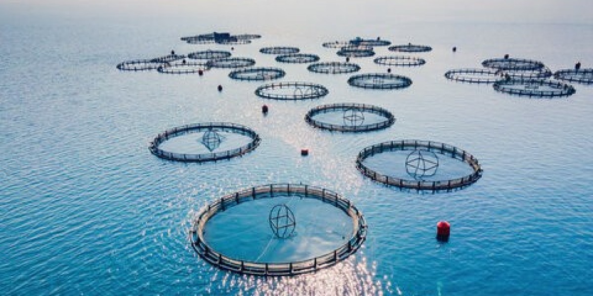 How Does Salmon Farming Impact the Global Aquaculture Market Value?