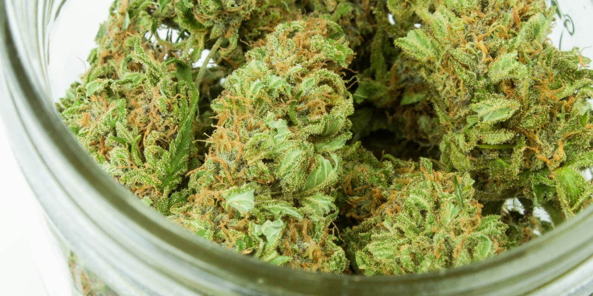 Discovering Popular Medical Marijuana Strains at Dispensaries Around Me