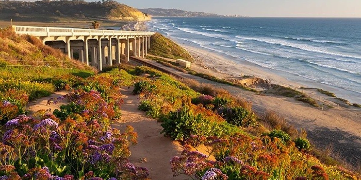 Healing Minds in Encinitas: The Path to Mental Wellness