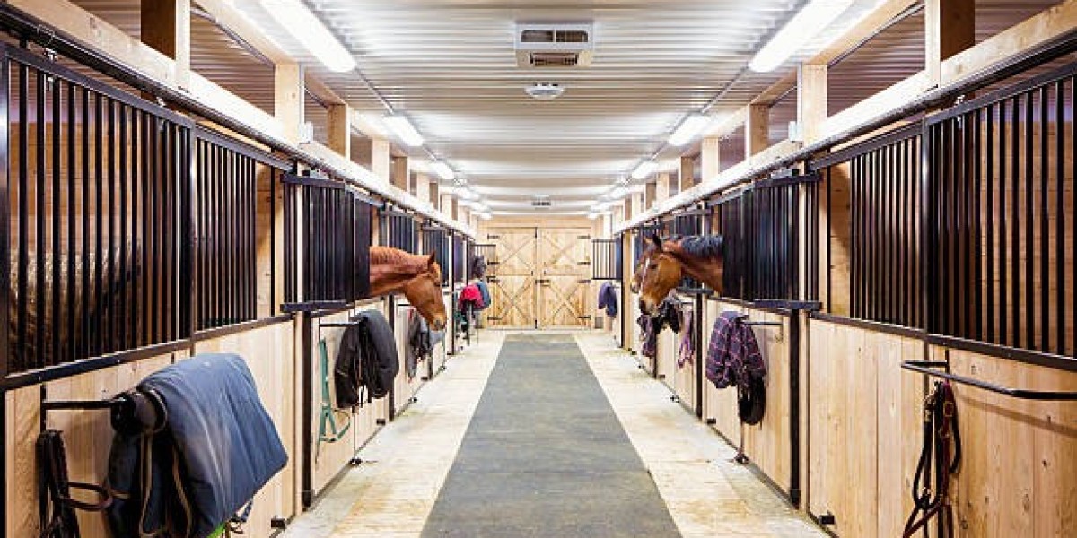 The Future of the Livestock Flooring Market: Animal Comfort, Efficiency & Automation
