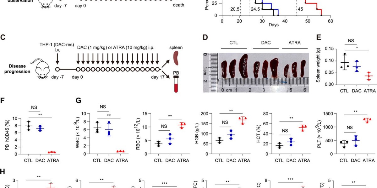 The Power of TargetMol Compound Libraries in Advancing Pharmaceutical Research