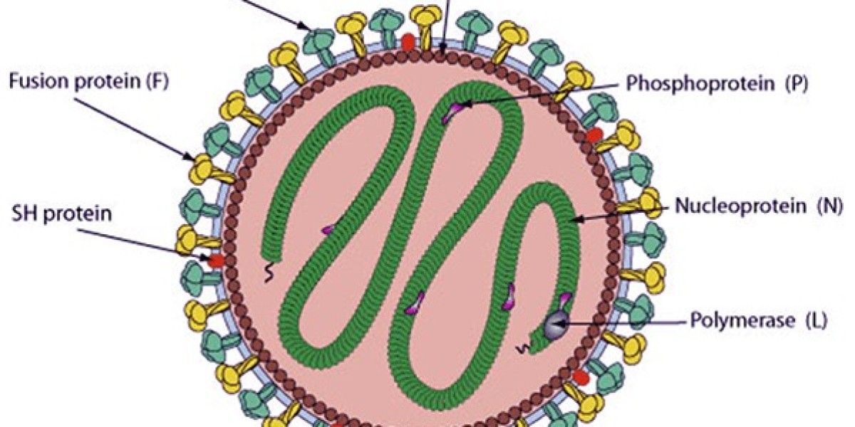 Comprehensive Line of Respiratory Syncytial Virus Antigens