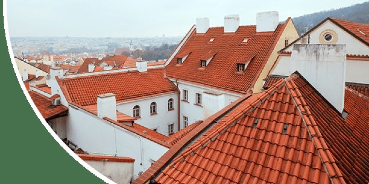Refresh Your Home with Professional Roof Cleaning Moss Removal