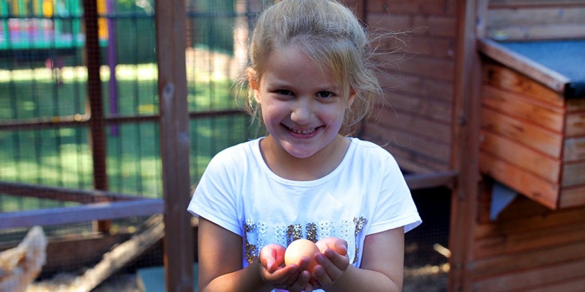 Finding the Right Preschool and Childcare in Chipping Norton and Warwick Farm