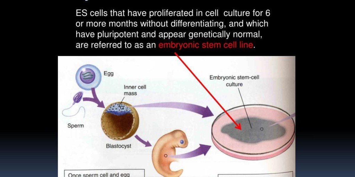 Investment Trends in Embryonic Stem Cell Therapies