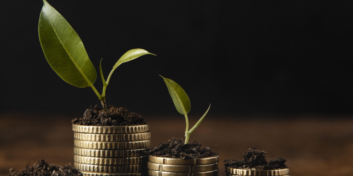 Can You Onboard International Clients Through the Best Wealth Management Platform?