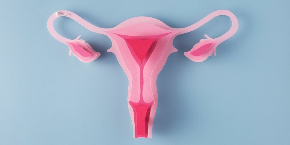 Ovarian Cancer Landscape: Innovations in Detection, Treatment, and Market Dynamics