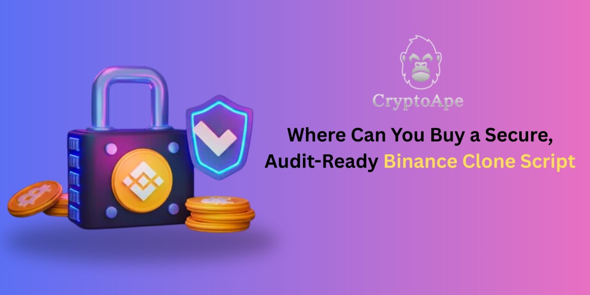 Where Can You Buy a Secure, Audit-Ready Binance Clone Script?