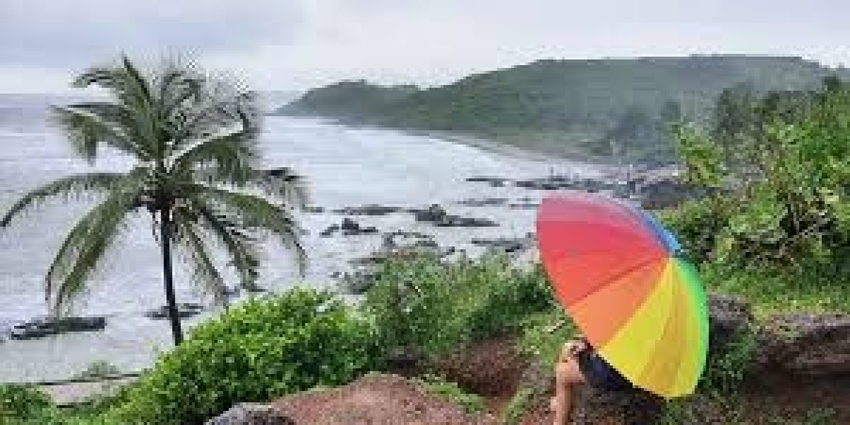 Beyond the Beach: Top 5 Must-Do Experiences in Your Goa Tour