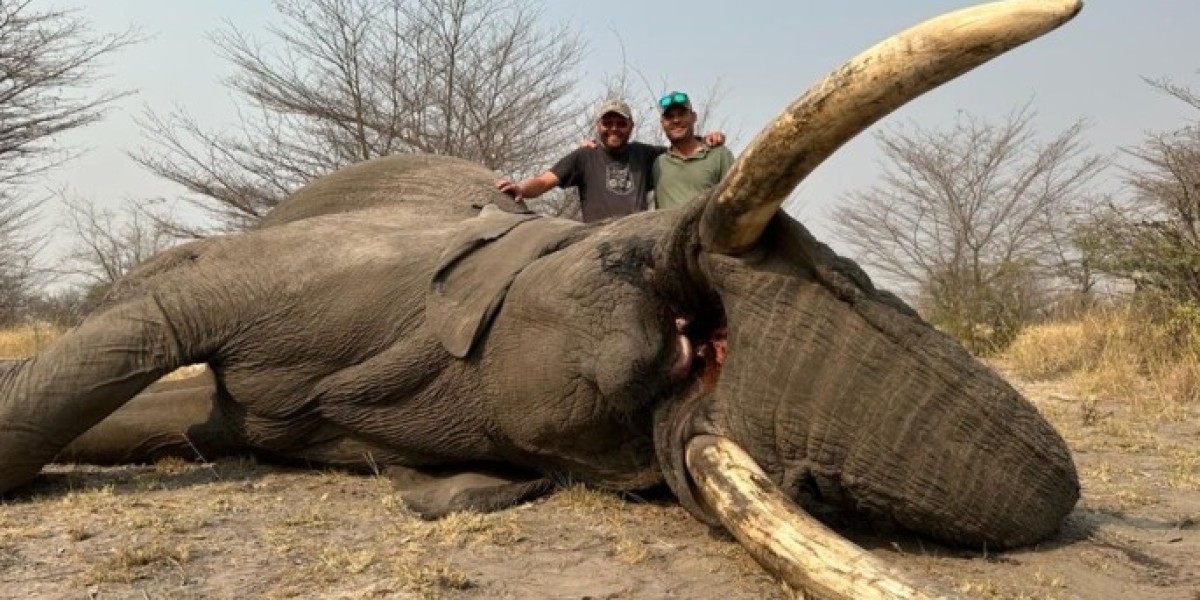 Experience the Thrill of Big Game Hunting and Explore Unforgettable Botswana Adventures