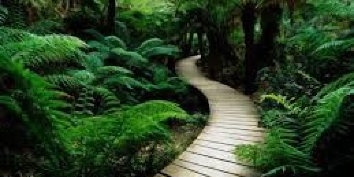 The Art of Resilience: Thriving in a World That Never Stops Changing