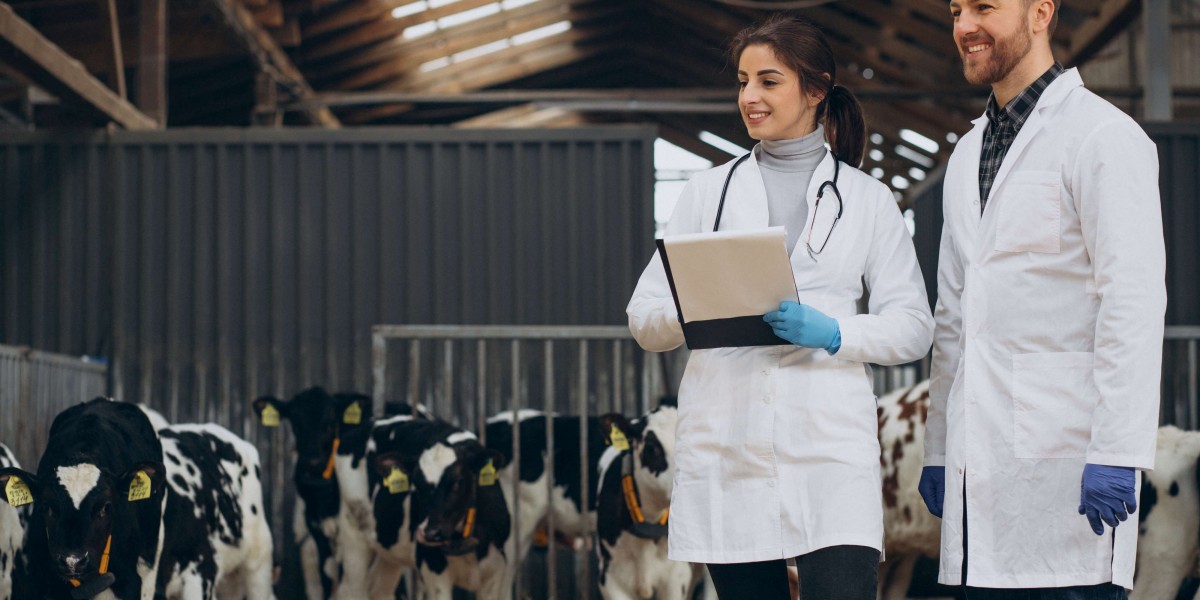 Revolutionizing Dairy Farming Efficiency with Cattle Care Dairy Software