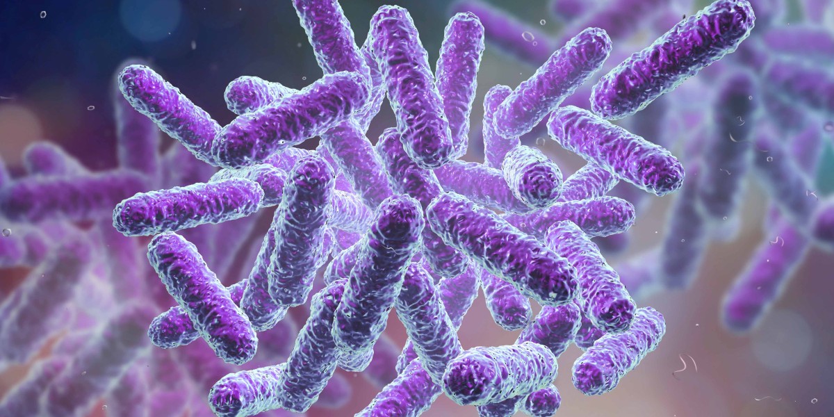 The real story behind bacteria's protective coats