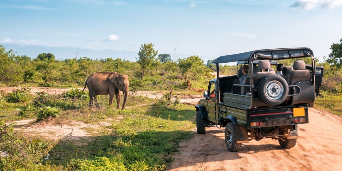 Experience Unmatched Elegance with India Luxury Tours by Bespoke India Holidays