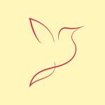 Parwaz