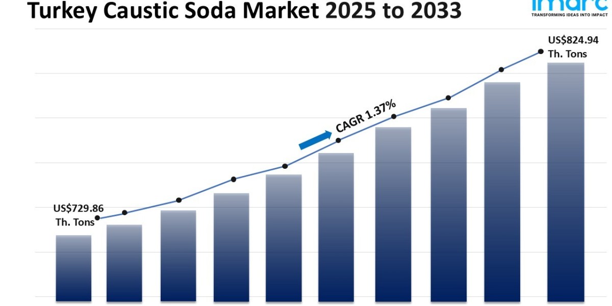 Turkey Caustic Soda Market Size, Share, Trends and Forecast 2025-2033