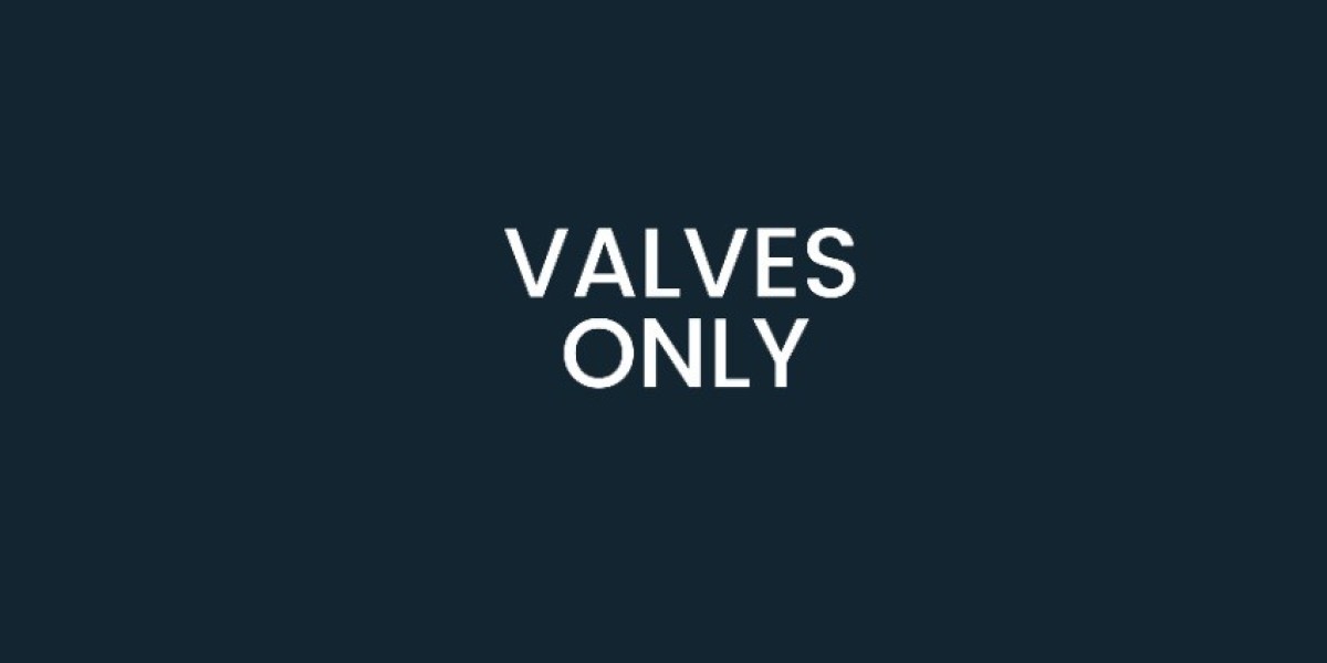 Duplex butterfly valve Manufacturers in USA