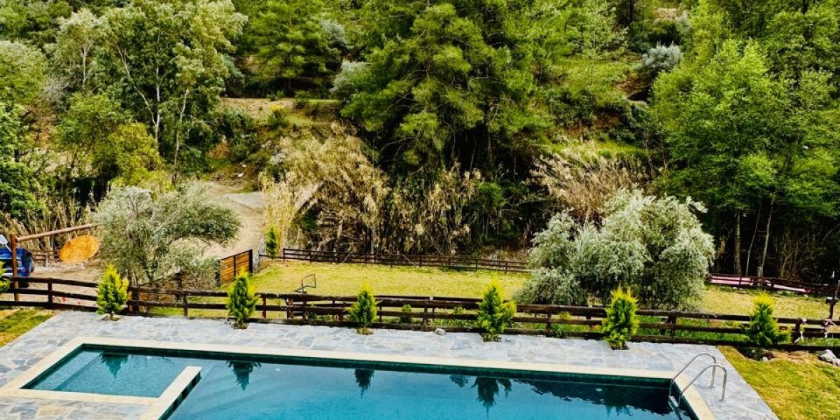 Enjoy Luxurious Pet-Friendly Glamping in Nature’s Heart with Comfort