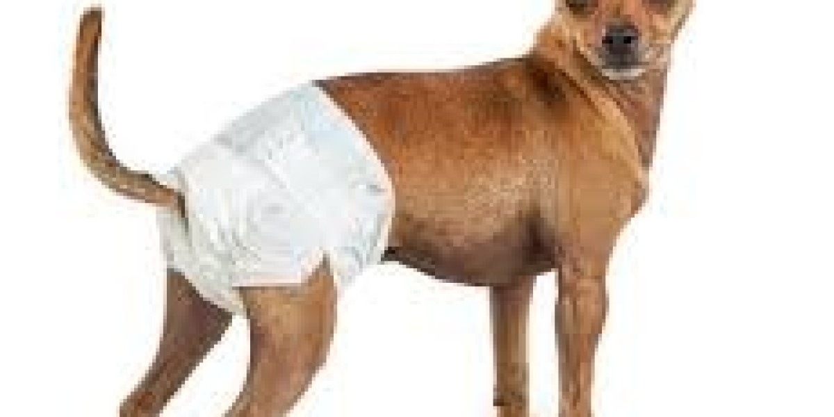 Pet Diaper Market segmentation identifies trends by size, material, and absorption level