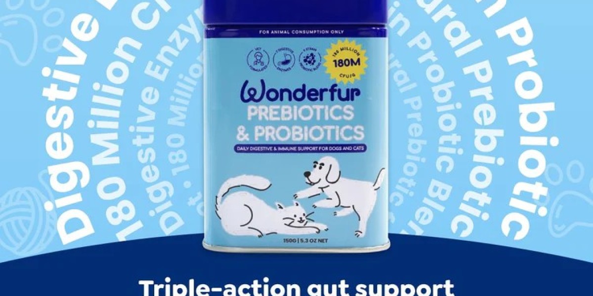Supplements for Pets: How They Can Improve Their Quality of Life