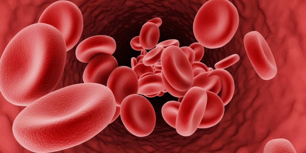How Regular Screening Detects High Cholesterolemia Dubai Early