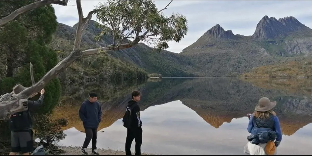 Discover the Untamed Magic of Wildlife in Tasmania