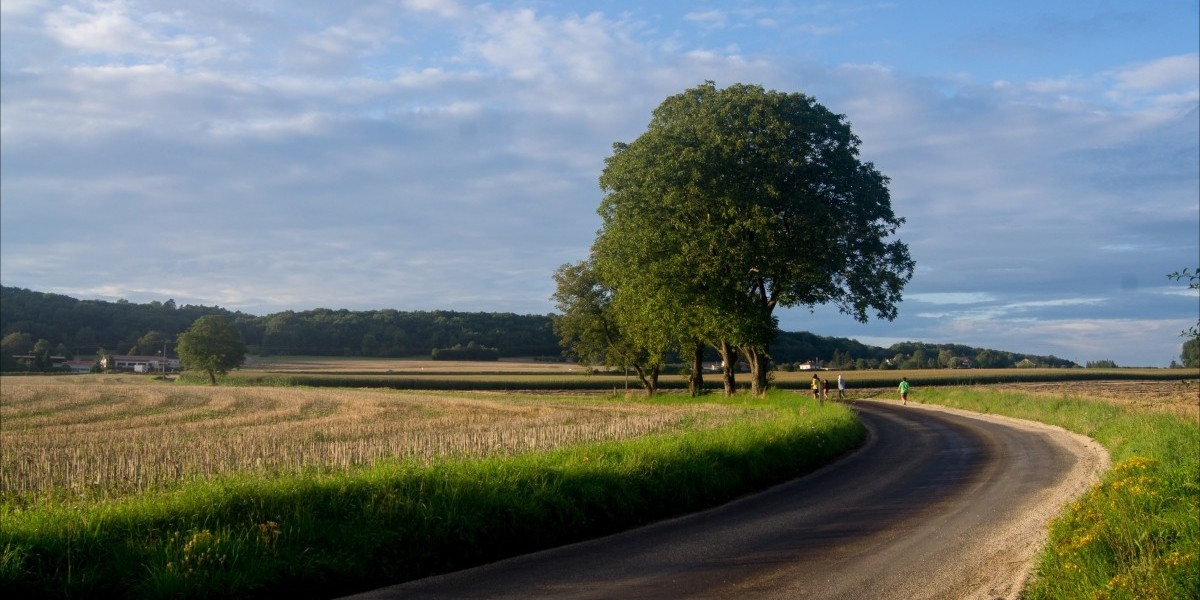 How SEO Fuels Content Marketing Success