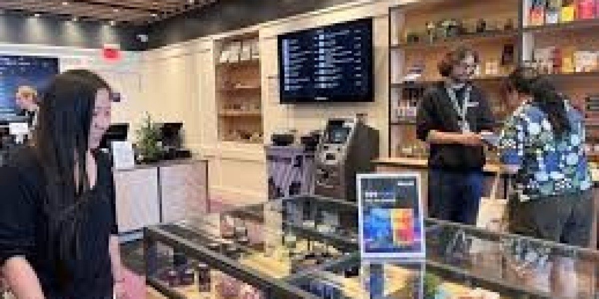 Cannabis Tourism in San Jose: What to Expect