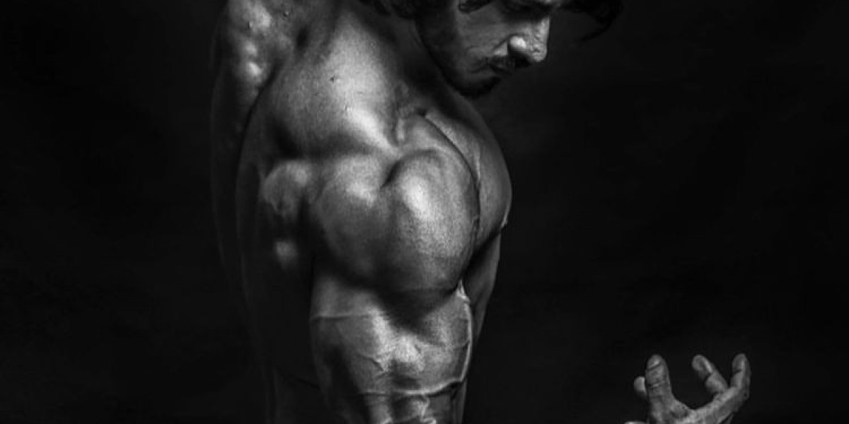 Best legal steroids for cutting: Top 5 Supplements to Increase Energy and Endurance for Athletes