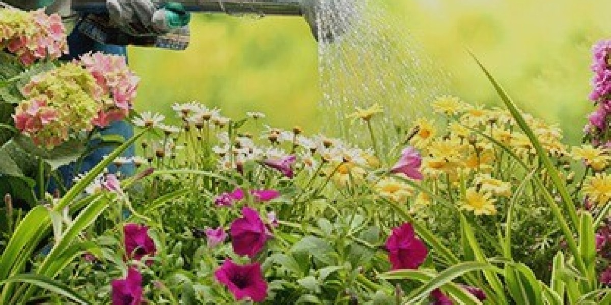 Premium Lawn Care Solutions for Beautiful Botany Gardens