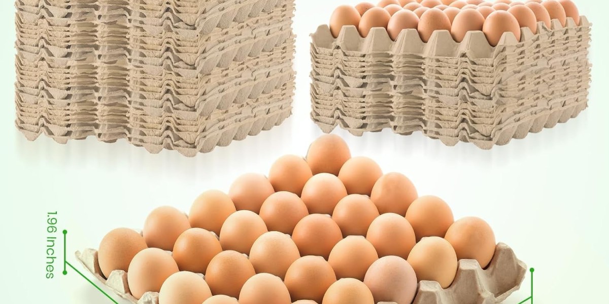 Understanding Egg Cartons: Uses, Benefits, Types, and Sustainability