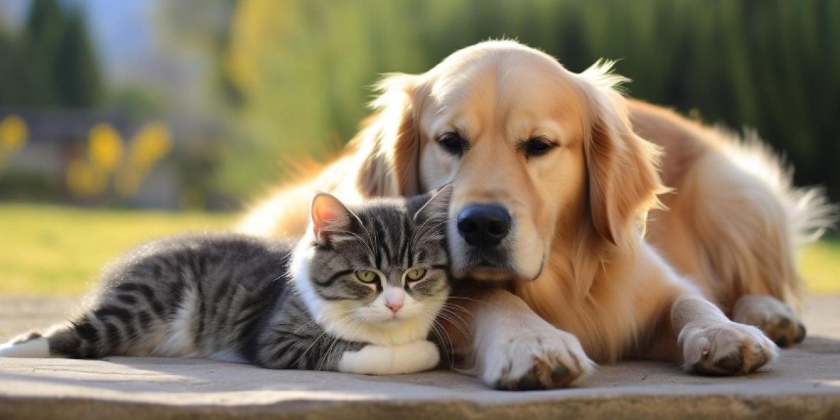 寵物移民全程安心方案｜PetTravel.hk 專業一站式服務，讓您的毛孩安全出國！