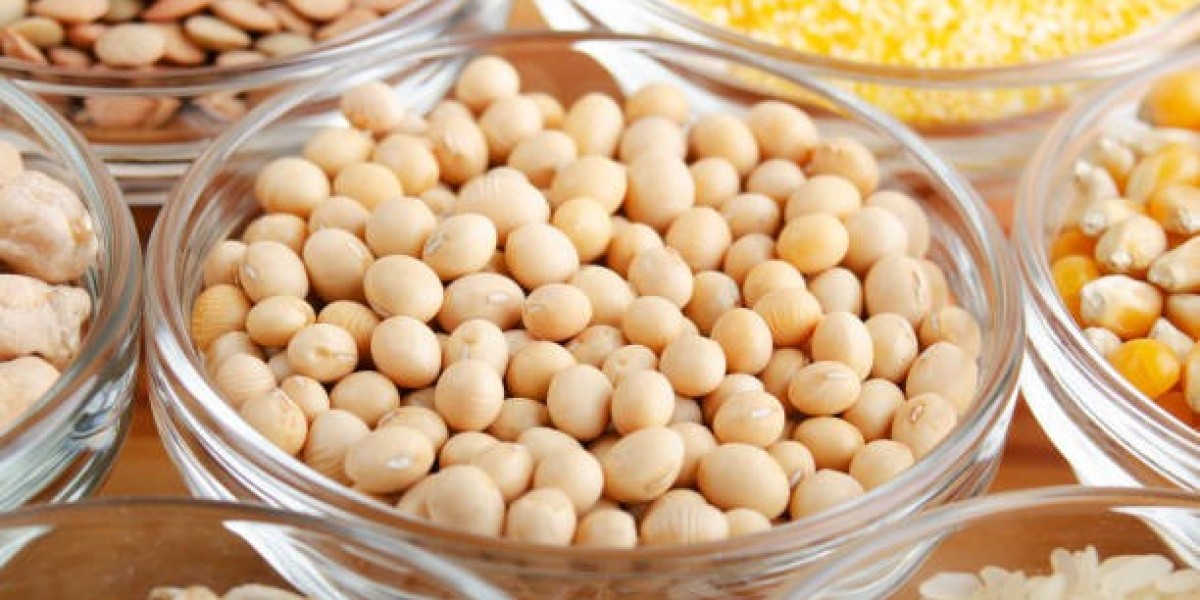 Why the Soybean Derivatives Market Is Expanding Rapidly: Key Insights & Emerging Trends