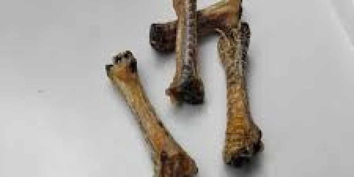 Chicken Mini Chew Bones – A Tasty & Healthy Treat for Your Dog