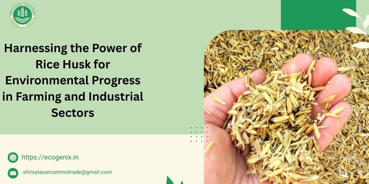 Harnessing the Power of Rice Husk for Environmental Progress in Farming and Industrial Sectors