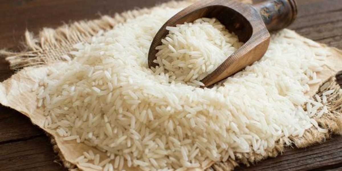 Basmati Rice in the UAE: A Timeless Grain for Modern Kitchens