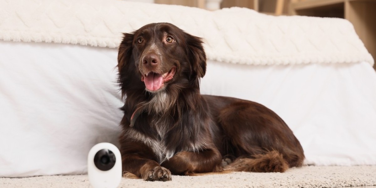 The Future of Pet Care Starts with Secure a Pet RX™ in the USA