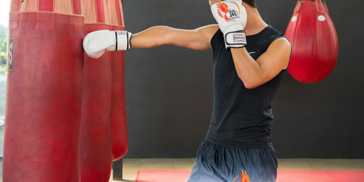 Best Punching Bag with Mount for Home Training Complete Guide