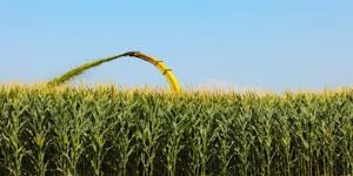 Corn Silage Market forecast highlighting key players and market share trends