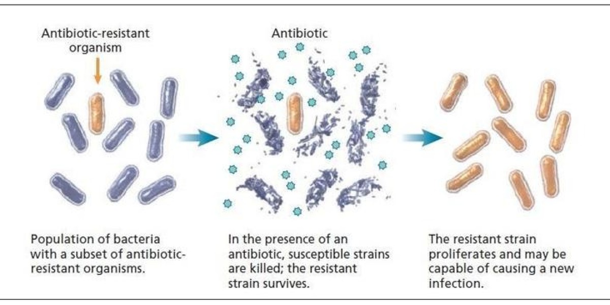 Antimicrobial Resistance Diagnostics Market: Driving Precision in the Fight Against Superbugs