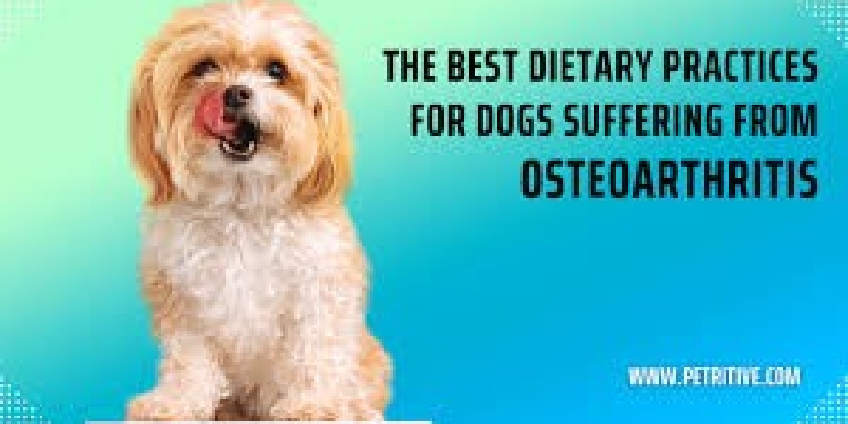 Petritive Dried Sardines for Dogs – The Perfect Balance of Taste, Health, and Love